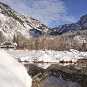 jbbr_spectre_austria_janeiro_012