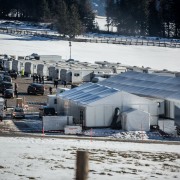 jbbr_spectre_obertilliach_140115_klzweichselbraun-9