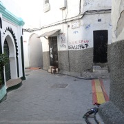 jbbr_SPECTRE_Marrocos_Bernard-Moutin-05